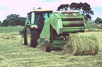 Baleing hay